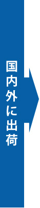 国内外に出荷